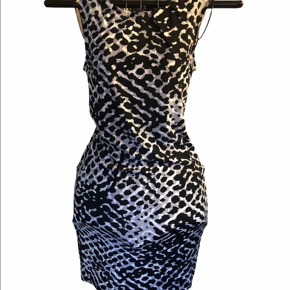 Animal Print Shift Dress - Picture 3 of 6